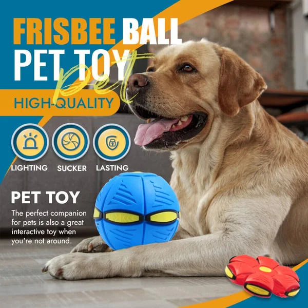 Flying Saucer Ball Dog Toy