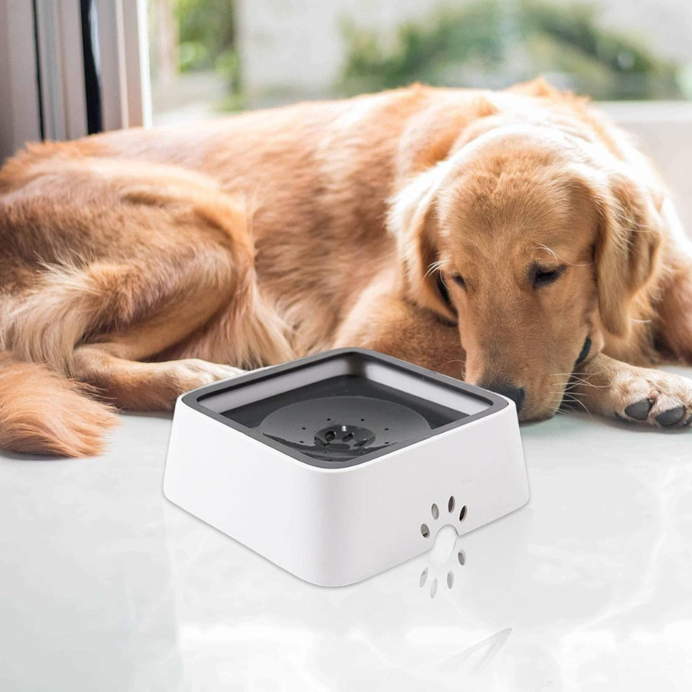 Large Capacity Anti-Overflow Dog Drinking Water Bowl