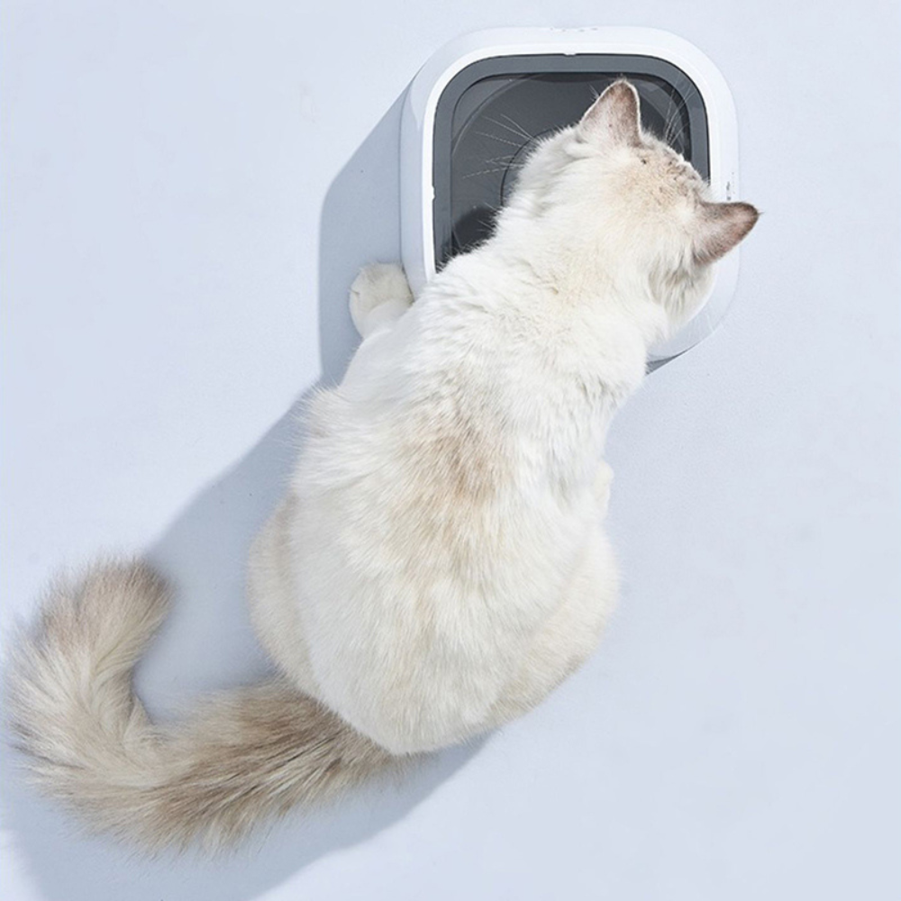 Large Capacity Anti-Overflow Dog Drinking Water Bowl