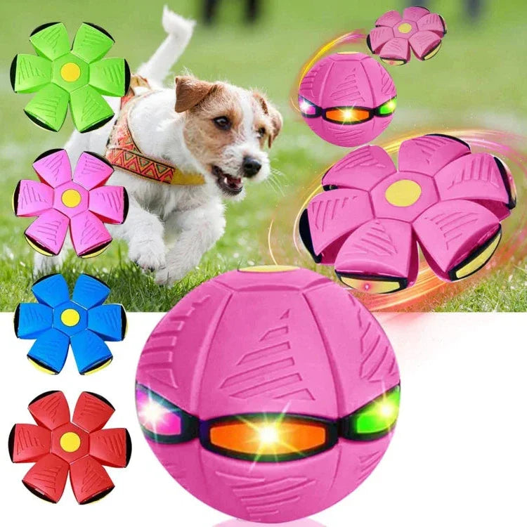 Flying Saucer Ball Dog Toy