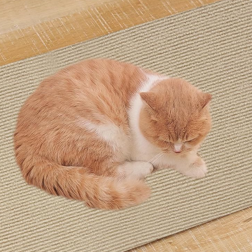 Ultimate Cat Scratch Couch Guard Protector Carpet Mat