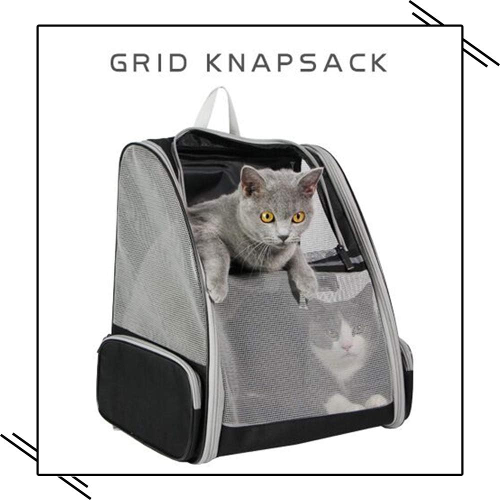 Backpack Carrier Cat