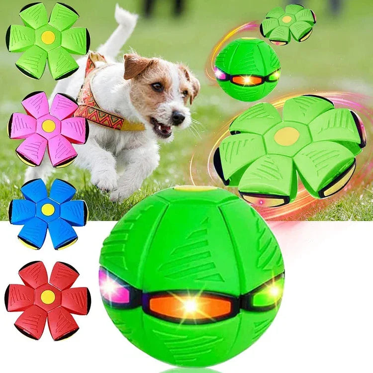 Flying Saucer Ball Dog Toy