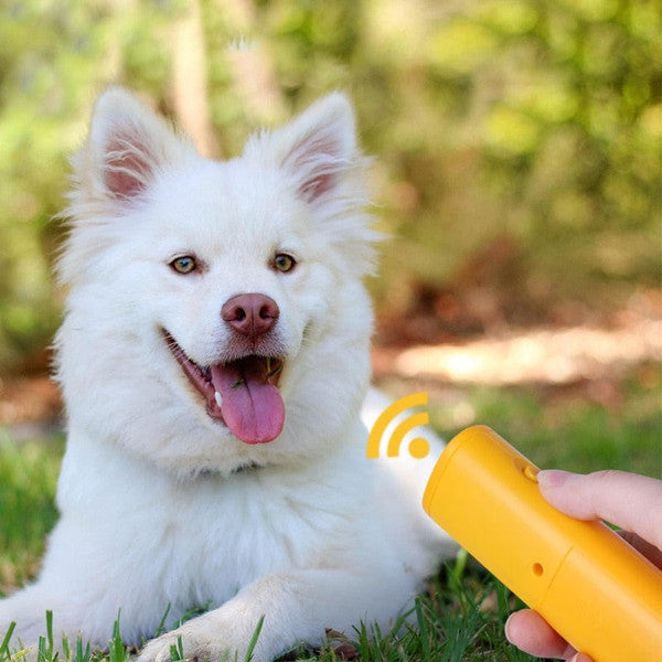 Anti-Bark Box For Dogs