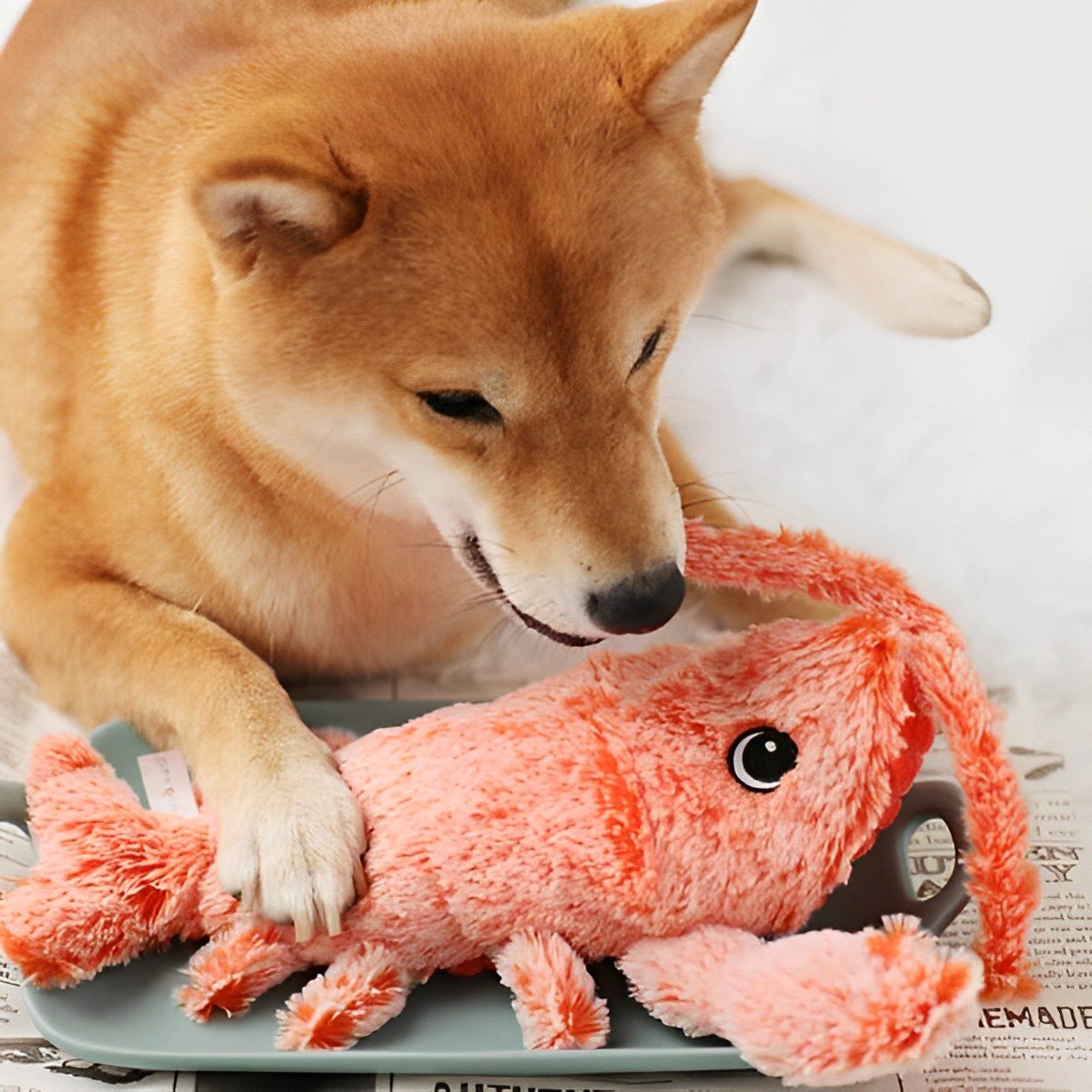 Floppy Lobster Interactive Dog Toy