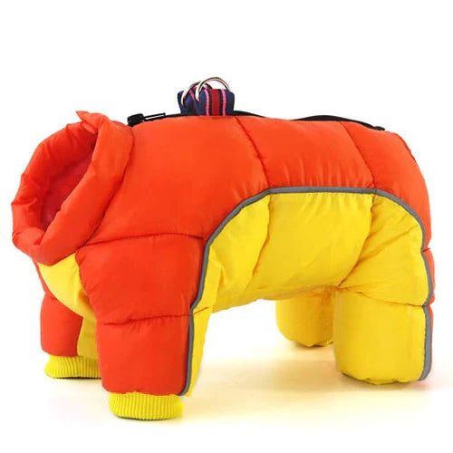 Water-Resistant Dog Parka & Coat