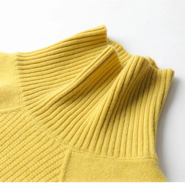 Plain Cashmere Roll Neck Sweater