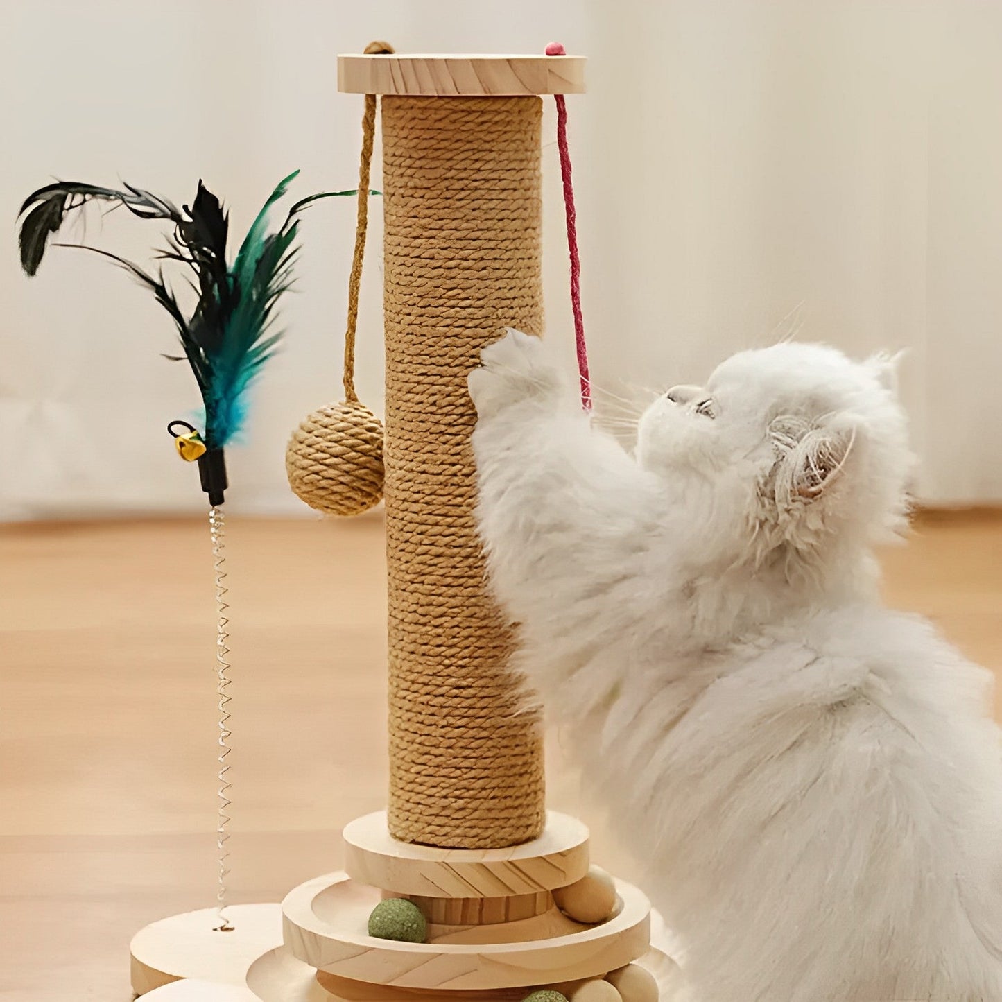 Cat Scratching Post