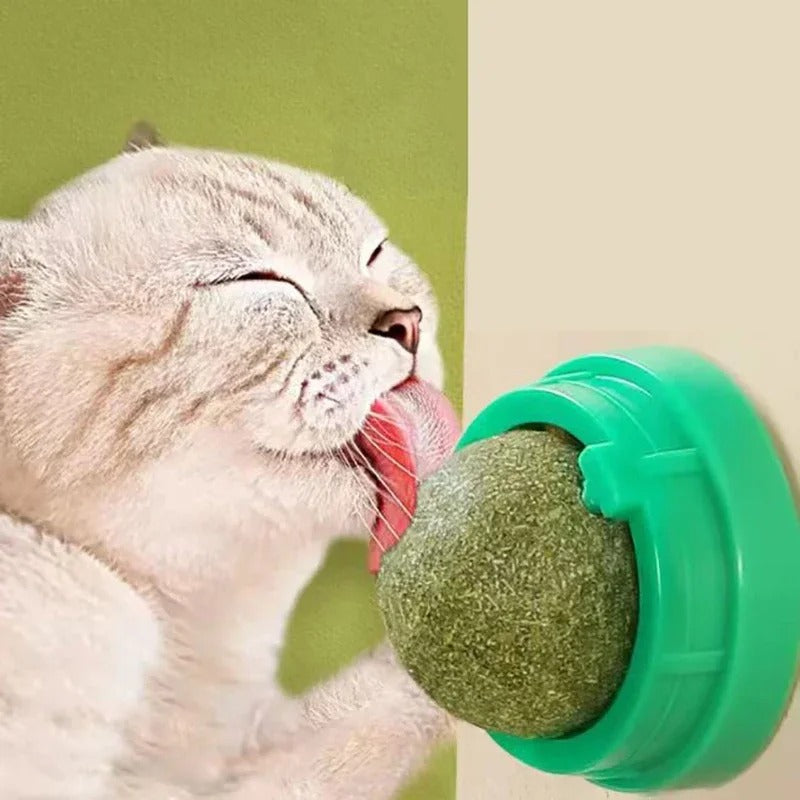 4 Pcs Premium Catnip Ball