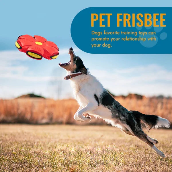 Flying Saucer Ball Dog Toy