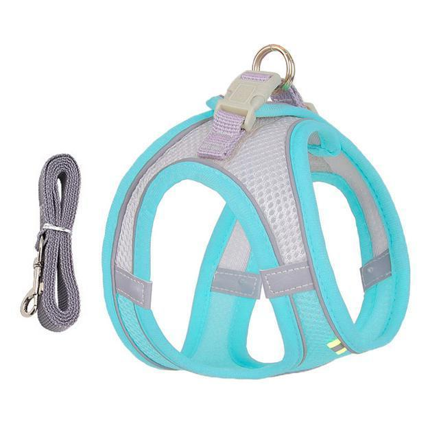 Adjustable Harness and Leash Set for Small Dogs and Cats