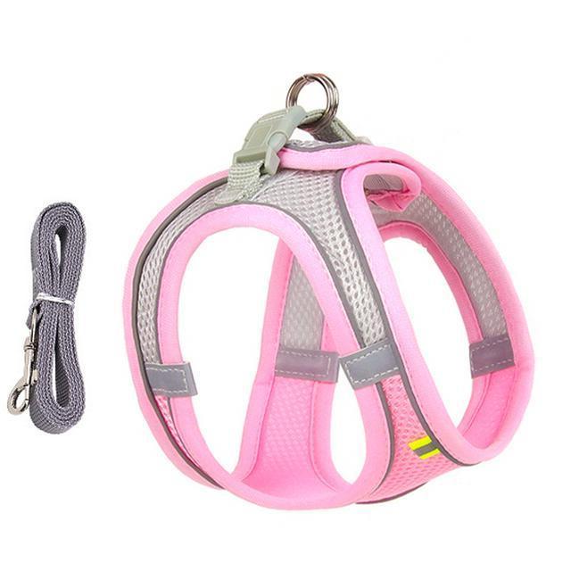 Adjustable Harness and Leash Set for Small Dogs and Cats