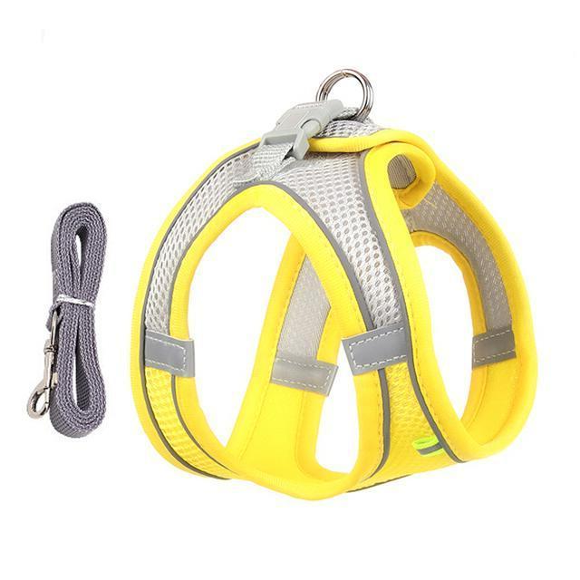 Adjustable Harness and Leash Set for Small Dogs and Cats