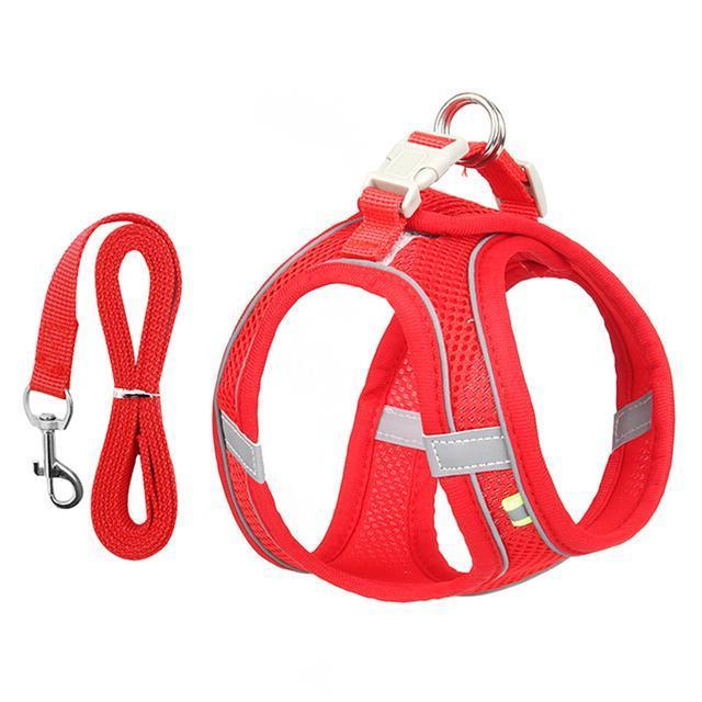 Adjustable Harness and Leash Set for Small Dogs and Cats