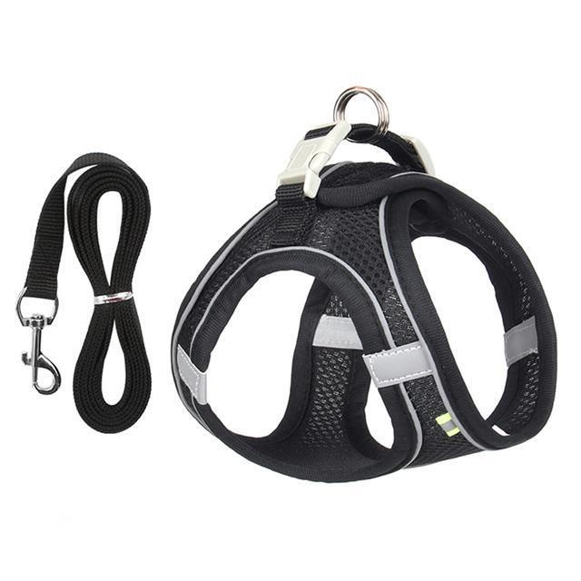 Adjustable Harness and Leash Set for Small Dogs and Cats