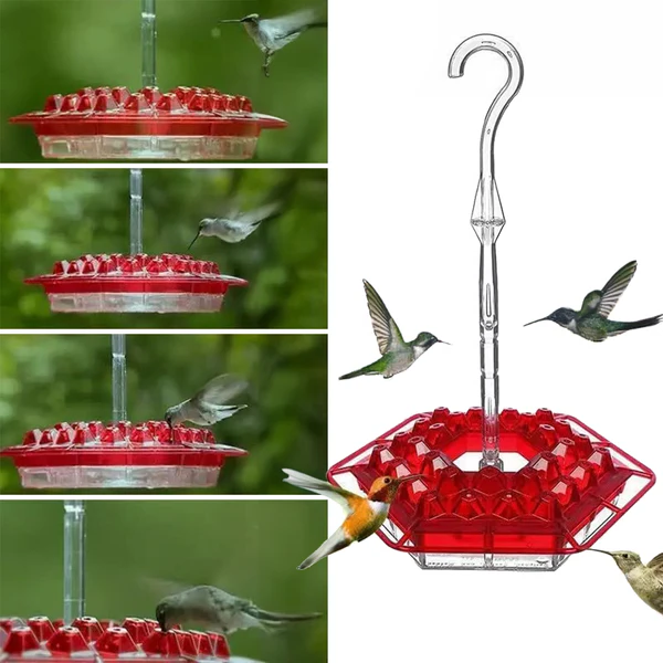 Ant-Proof Hummingbird Feeder with 30 Bee-Resistant Ports