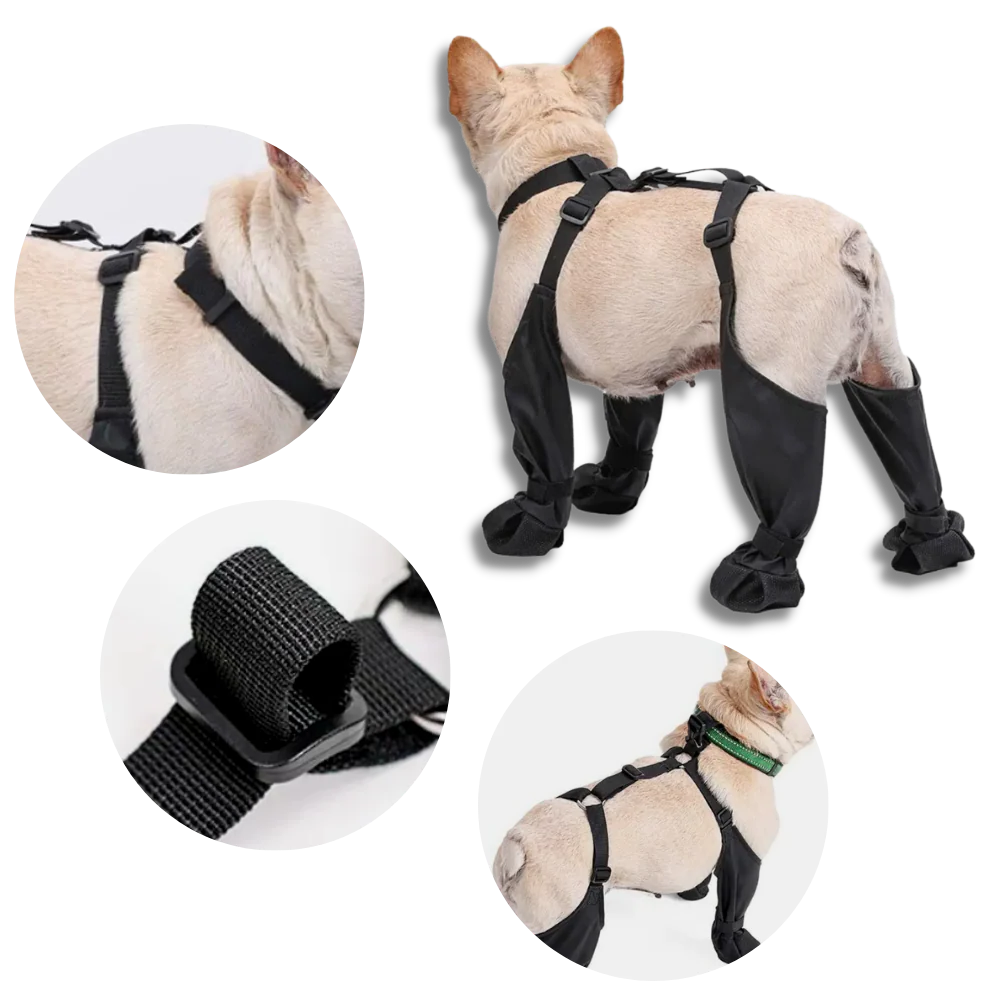 Waterproof Dog Suspenders Boots