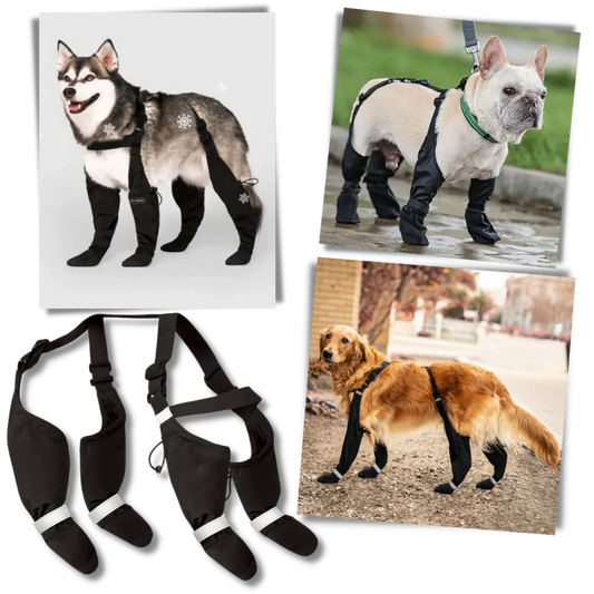 Waterproof Dog Suspenders Boots