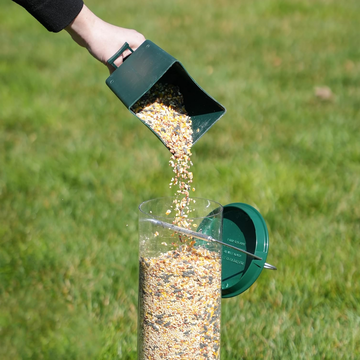 Squirrel Proof Bird Feeder