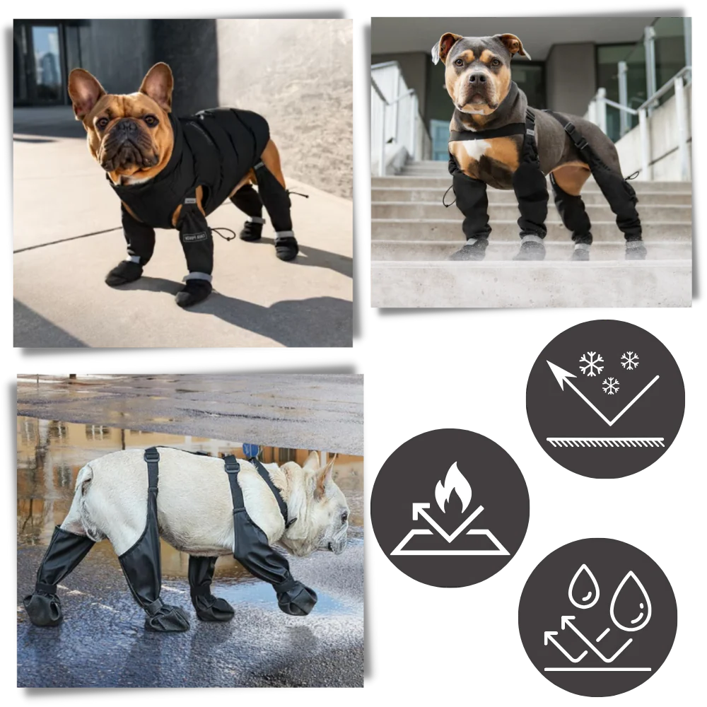 Waterproof Dog Suspenders Boots