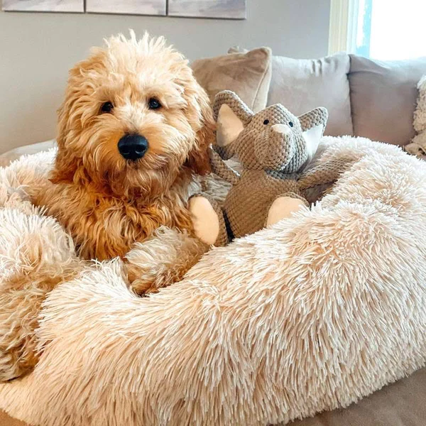 Calming Dog Bed