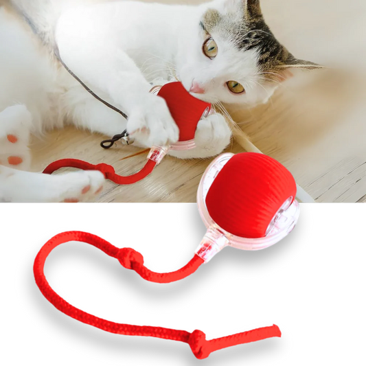 Smart Interactive Cats Ball Toy