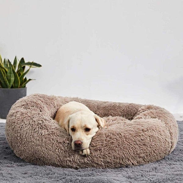 Calming Dog Bed