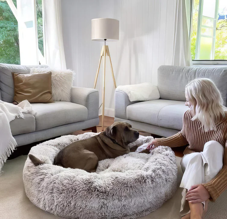 Calming Dog Bed