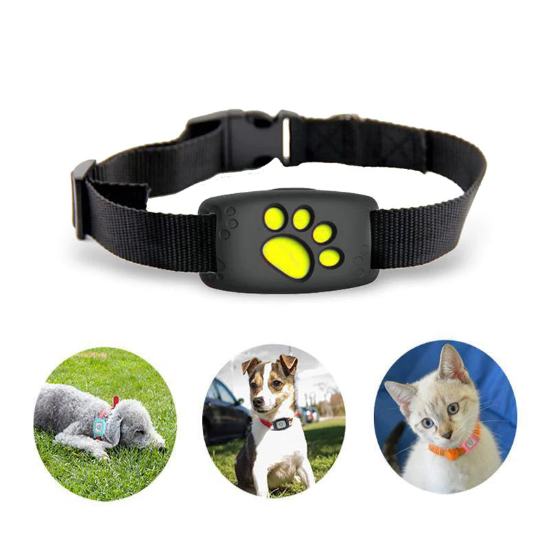 Smart GPS Cat Collar